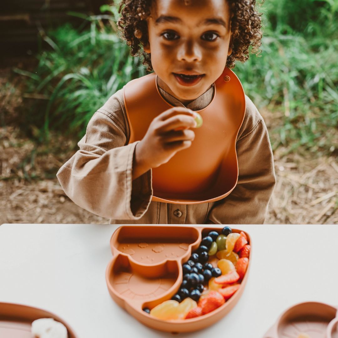 Rainboo Weaning Set <br> Rust Boo Chew 